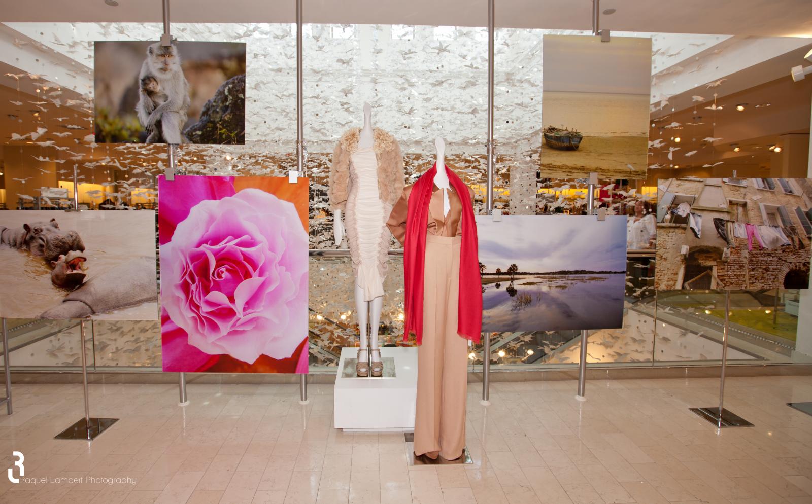 Color Photographs on Plexi