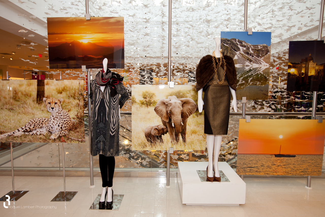 Color Photographs on Plexi